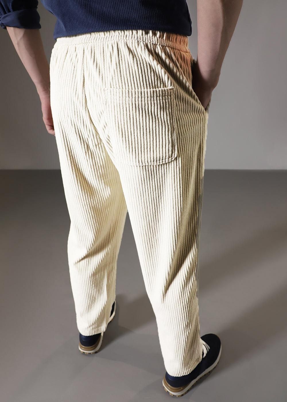 Combo of 2 Men's Caudray Fabric Stylish Pants